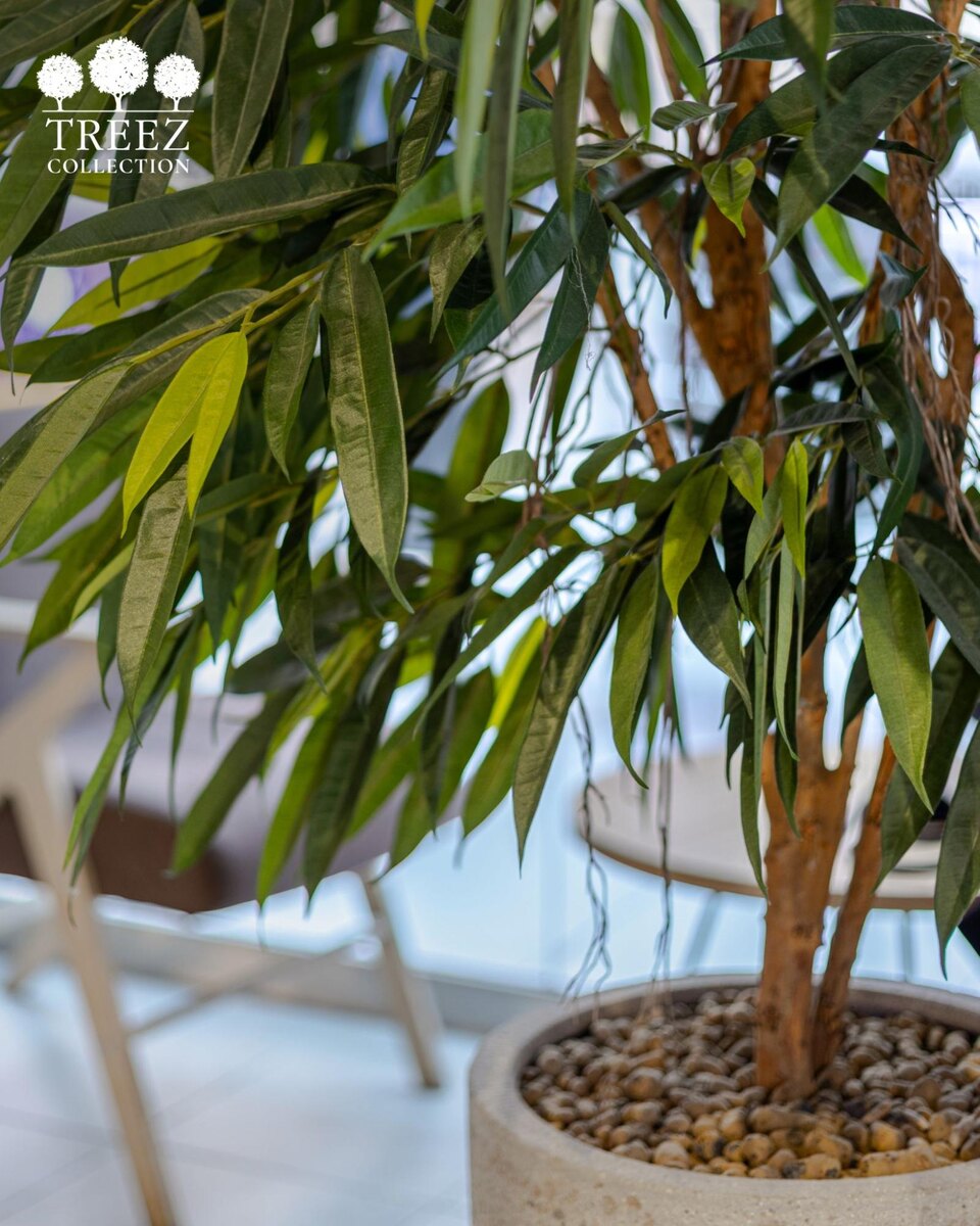 Кашпо и растения Treez Collection