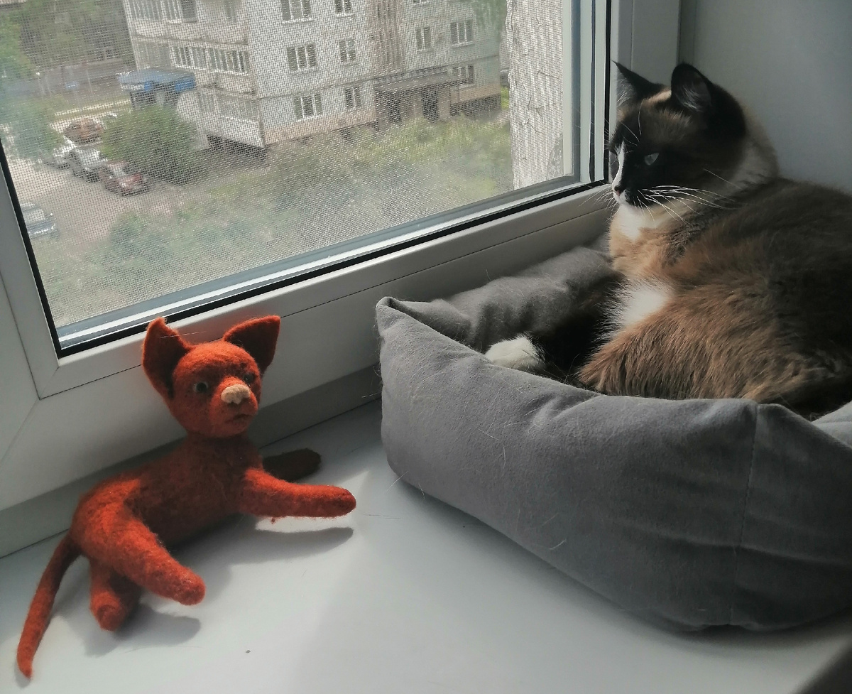 Минуты отдыха