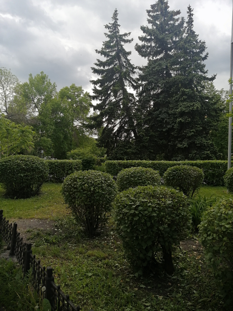 В ожидании дождя