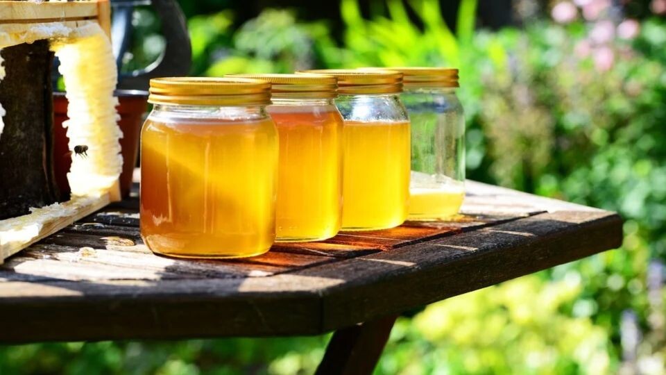    Мед. Источник: pixabay.com