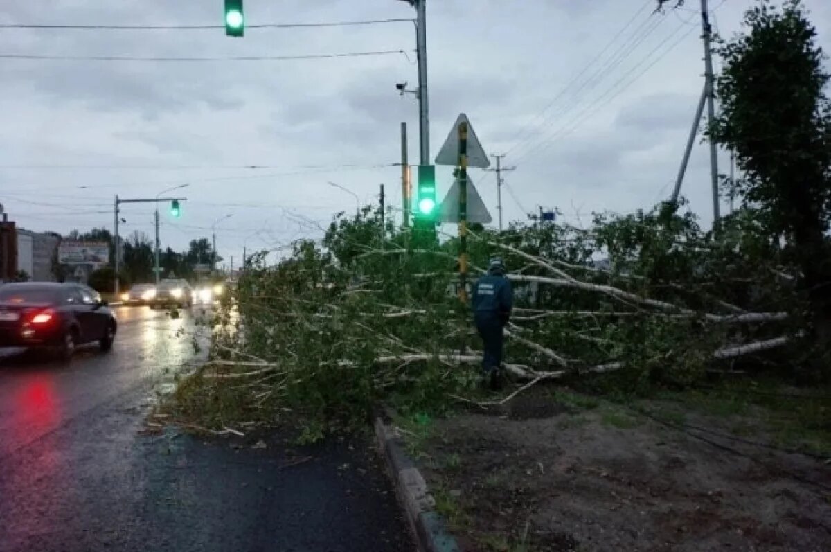    В Ульяновске из-за сильного ветра упали деревья и пропало электричество