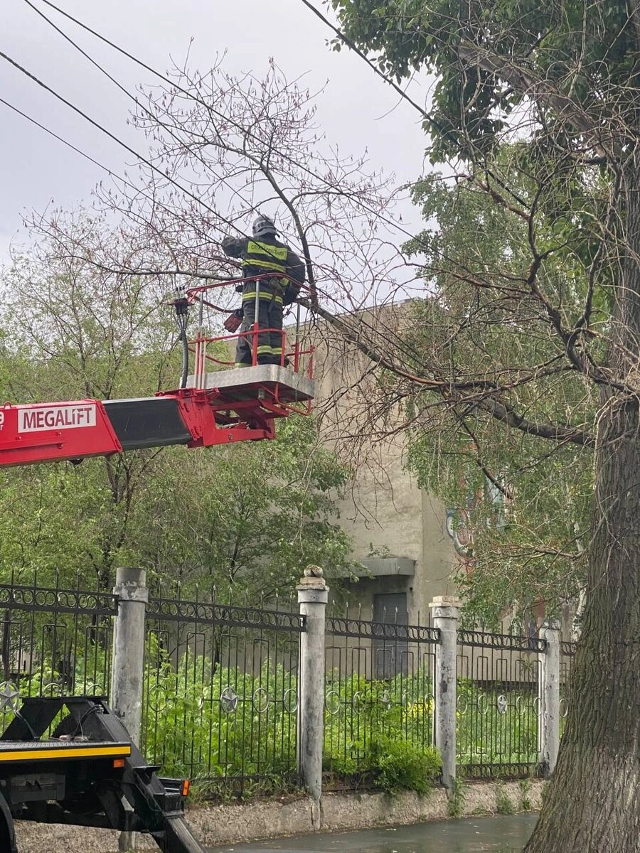    Фото: Администрация города Ульяновска