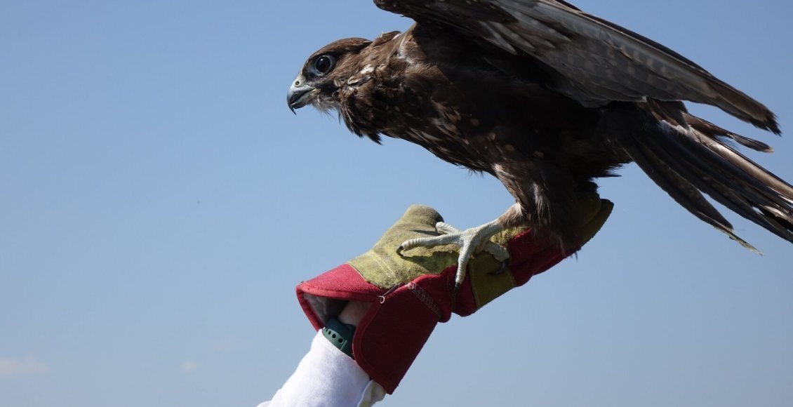    Фото: Хакасский заповедник