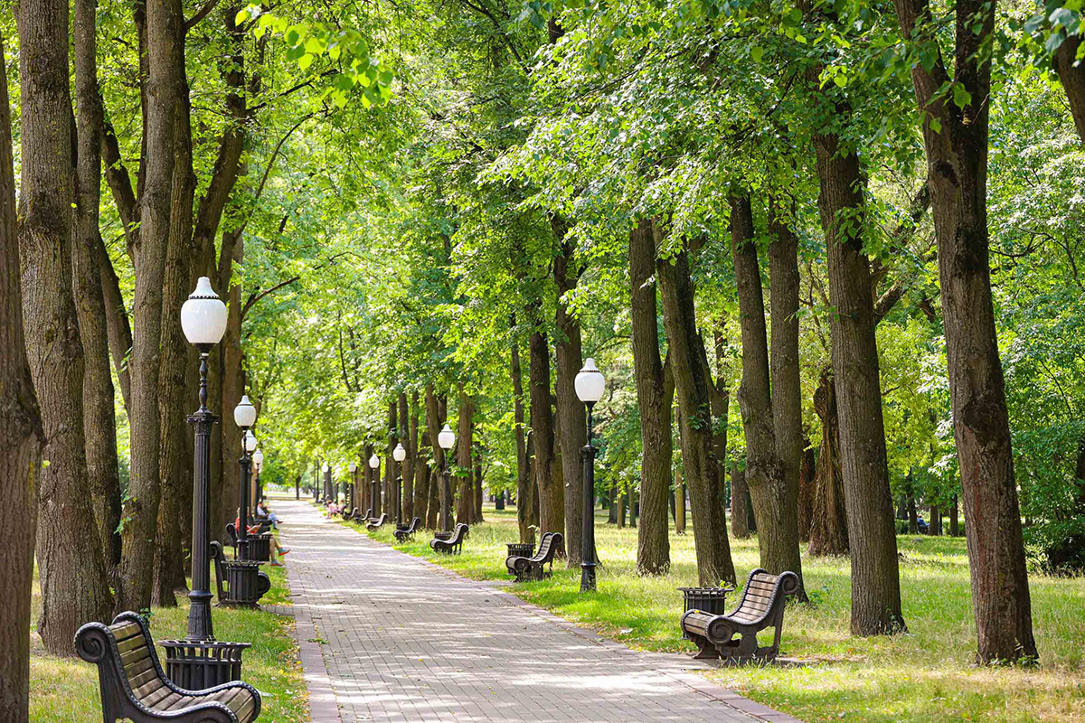   Снимок носит иллюстративный характер. Фото: Tochka.by