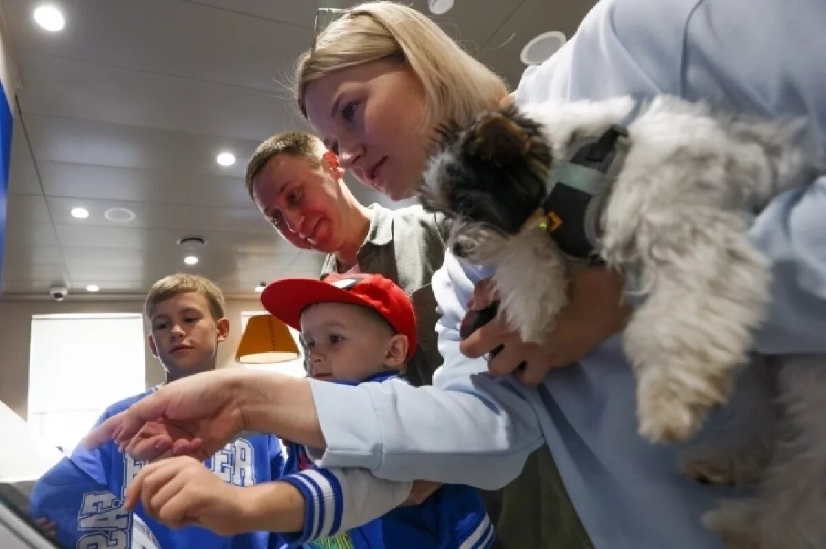    Большинство жителей СКФО поддерживают цифровых помощников для защиты детей