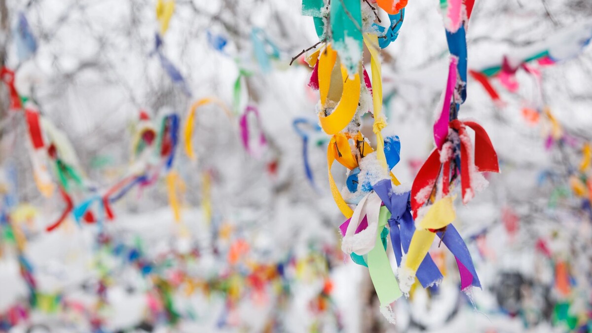    Фото: Юлия Чудинова / «Ямал-Медиа»