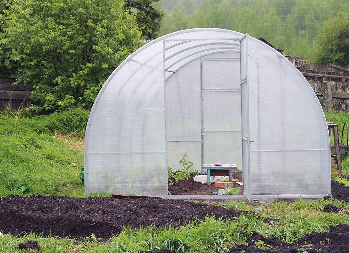 дикая половина огорода с очередной теплицей и нарытой для цветов клумбой перед ней