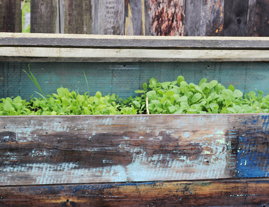 приоткрыли фрамугу и смотрим