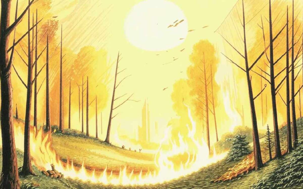    Ситуация в биосферном заповеднике в Липецкой области стабилизирована, пожар локализован Фото: Кандинский