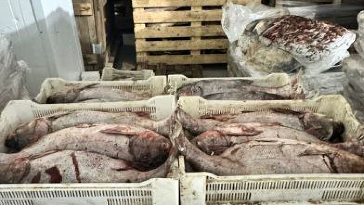    Фото: пресс-служба ГУ МВД России по Краснодарскому краю.