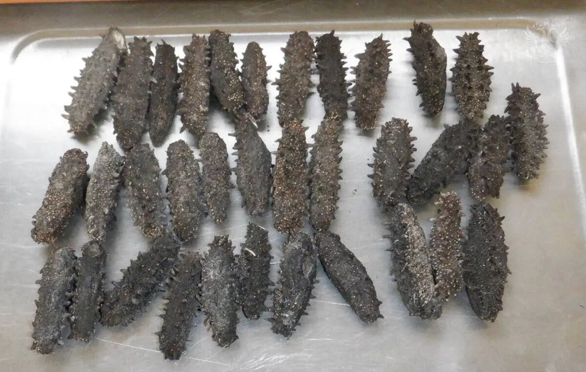    Фото: пресс-служба ФТС России.