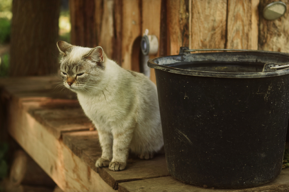 Фото: Анастасия Ильина