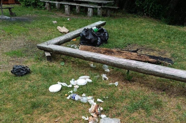    Отдыхающая компания попала в чёрный список гостей Бузулукского бора Мария Чалкина