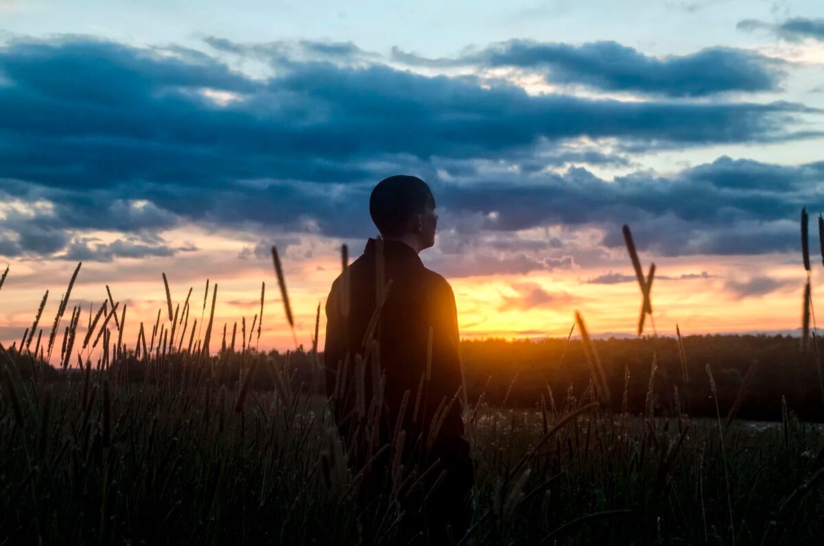 из открытого источника