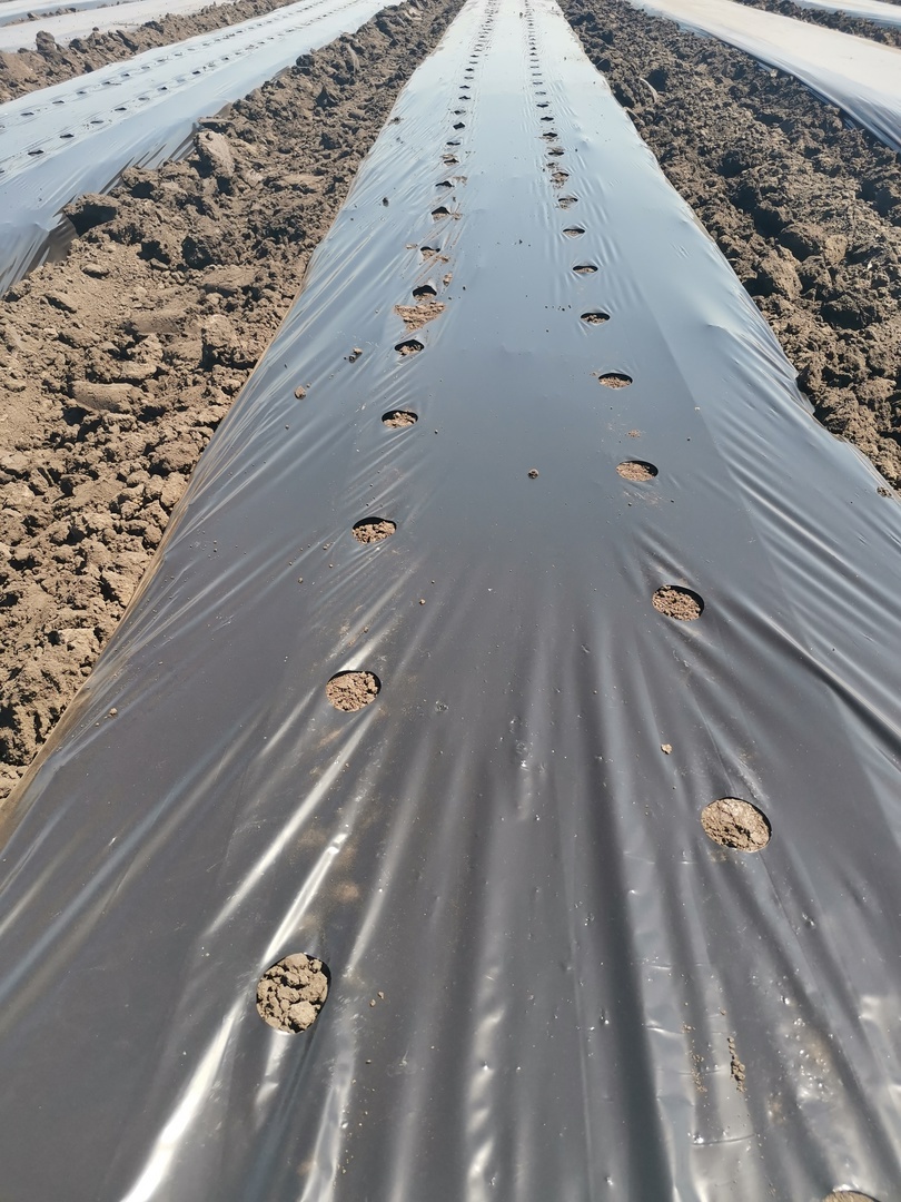 Создать карусельДобавьте описание