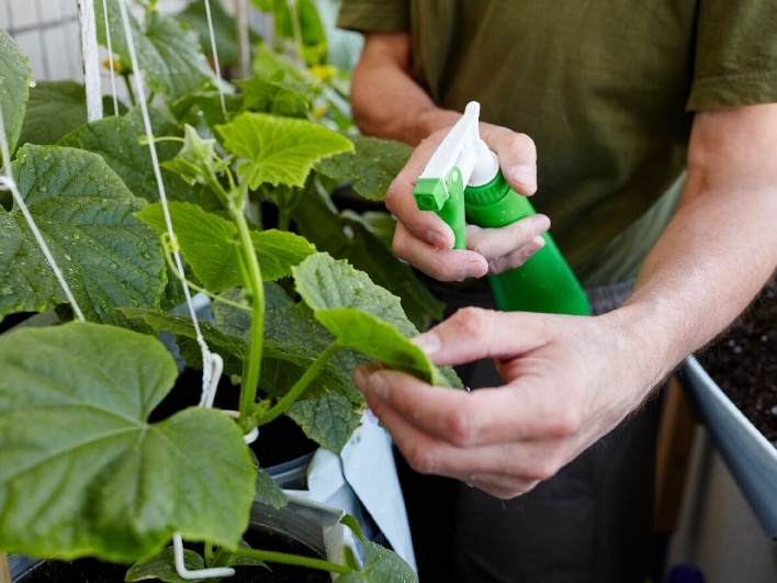 Фото: shutterstock.com