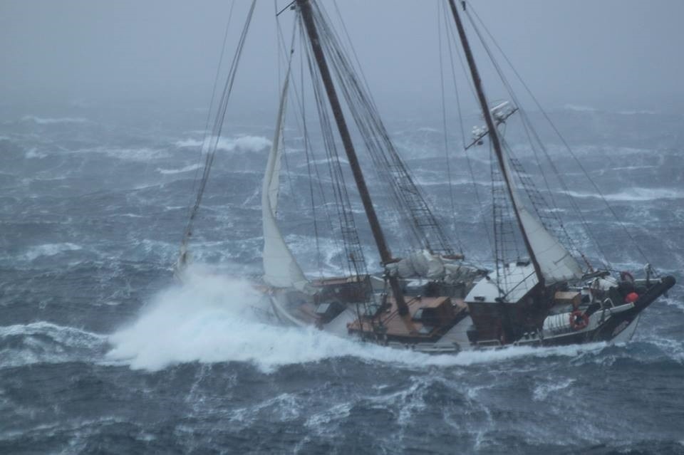 Из открытых источников.