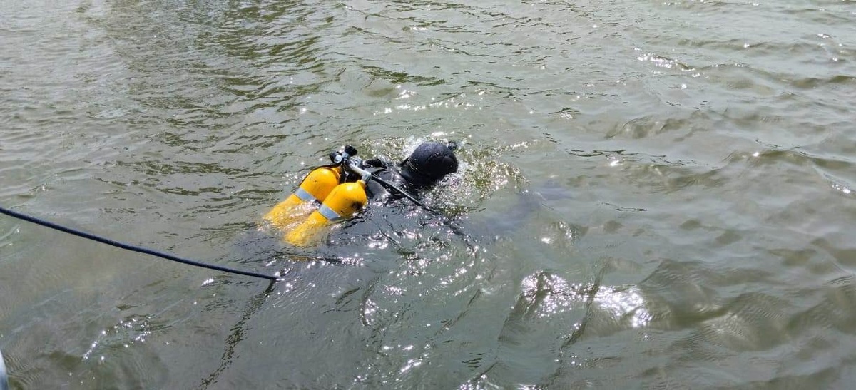 Фото: АСС Курской области