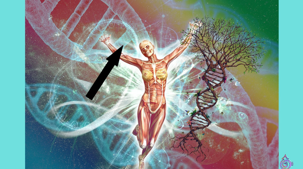    Тайна самовозгорания людей раскрыта экспертами 2024 года