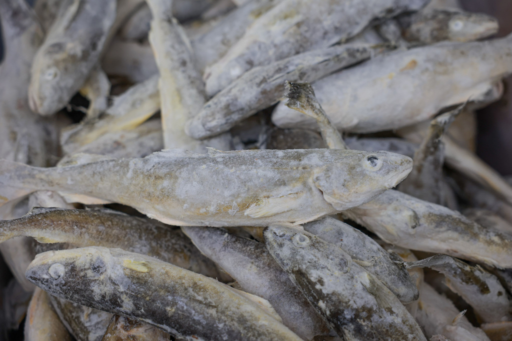    Сколько стоит социальная рыба в Приморье