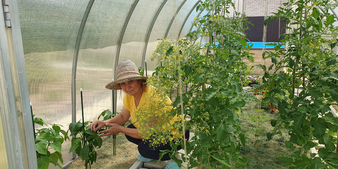 От сорняков, тли, муравьев и слизней. Использование уксуса в саду. Как сделать спрей из уксуса?