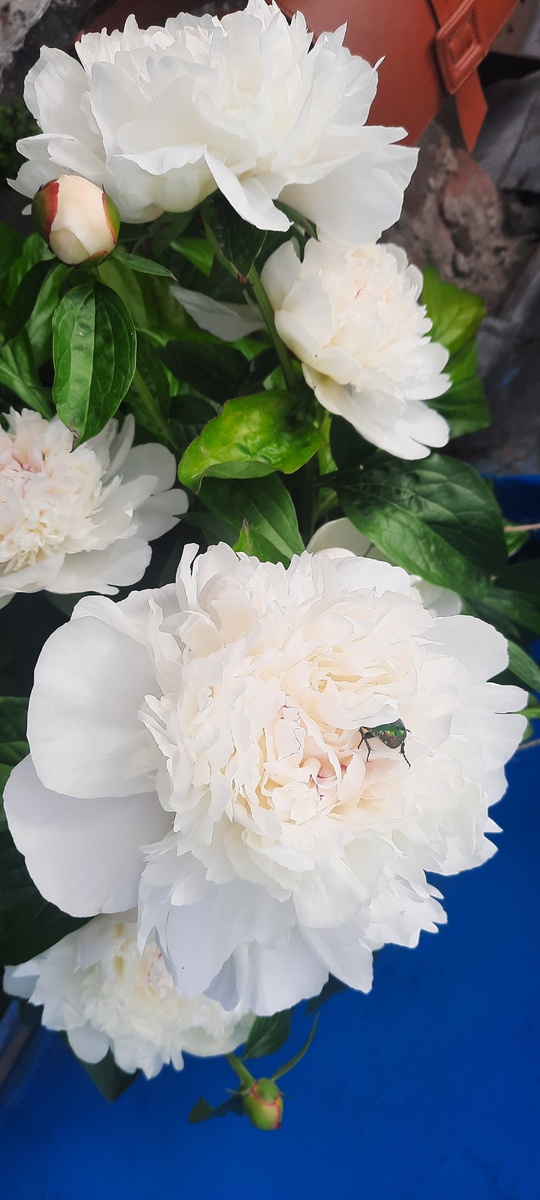 Все фото мои.