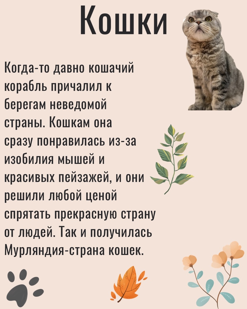 Кошки в Мурляндии
