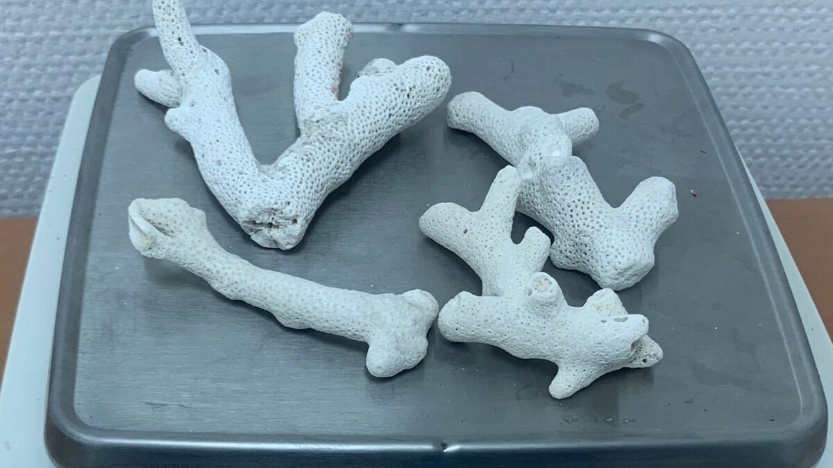    Фото: пресс-служба Тюменской таможни