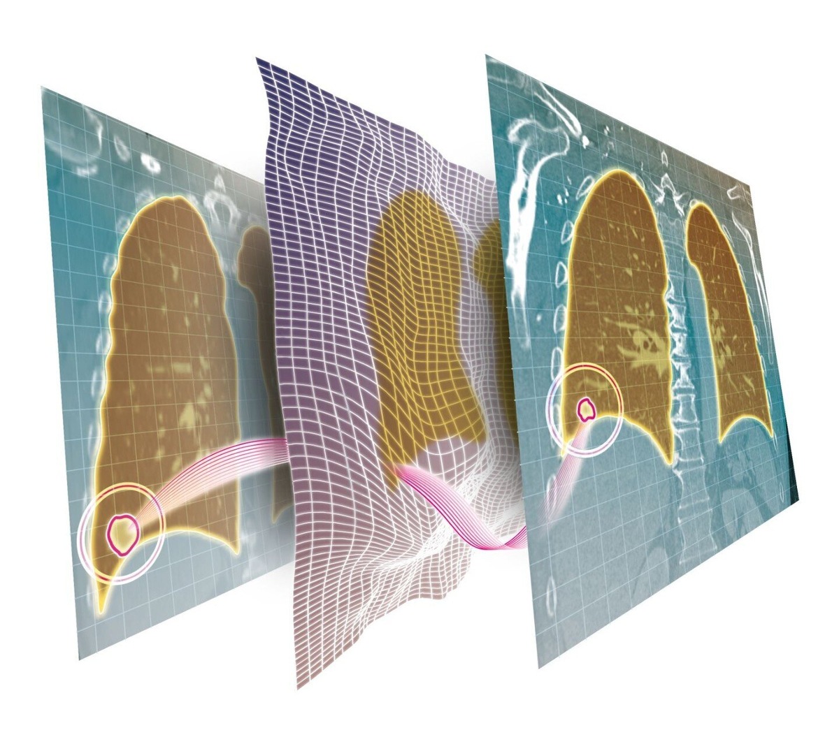    Fraunhofer-Gesellschaft