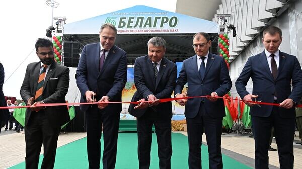    © Sputnik / Виктор Толочко