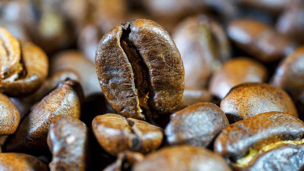 Фото: Евгений Павленко / Коммерсантъ