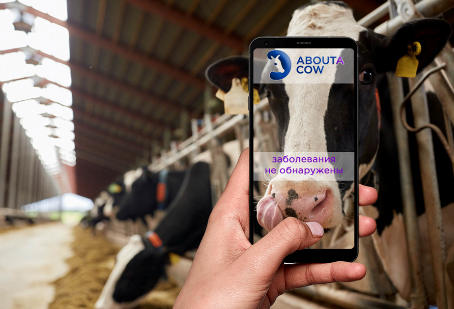 Фото из презентации стартапа ВЕТАИ