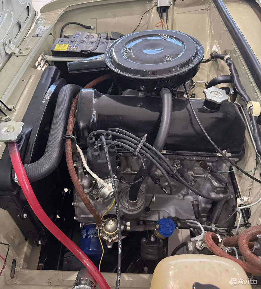 Фото: Avito  📷
