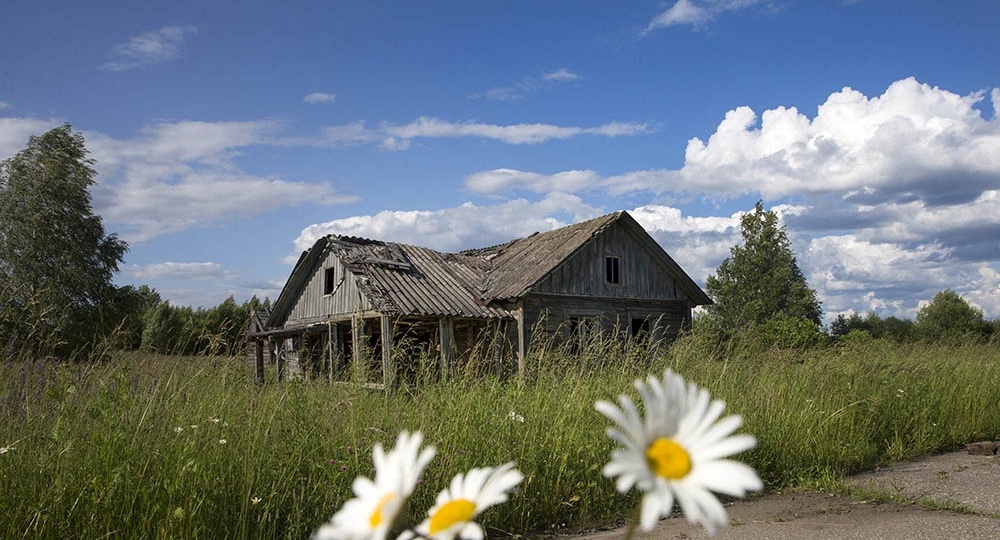 Что нужно сделать на участке, чтобы владельца не оштрафовали