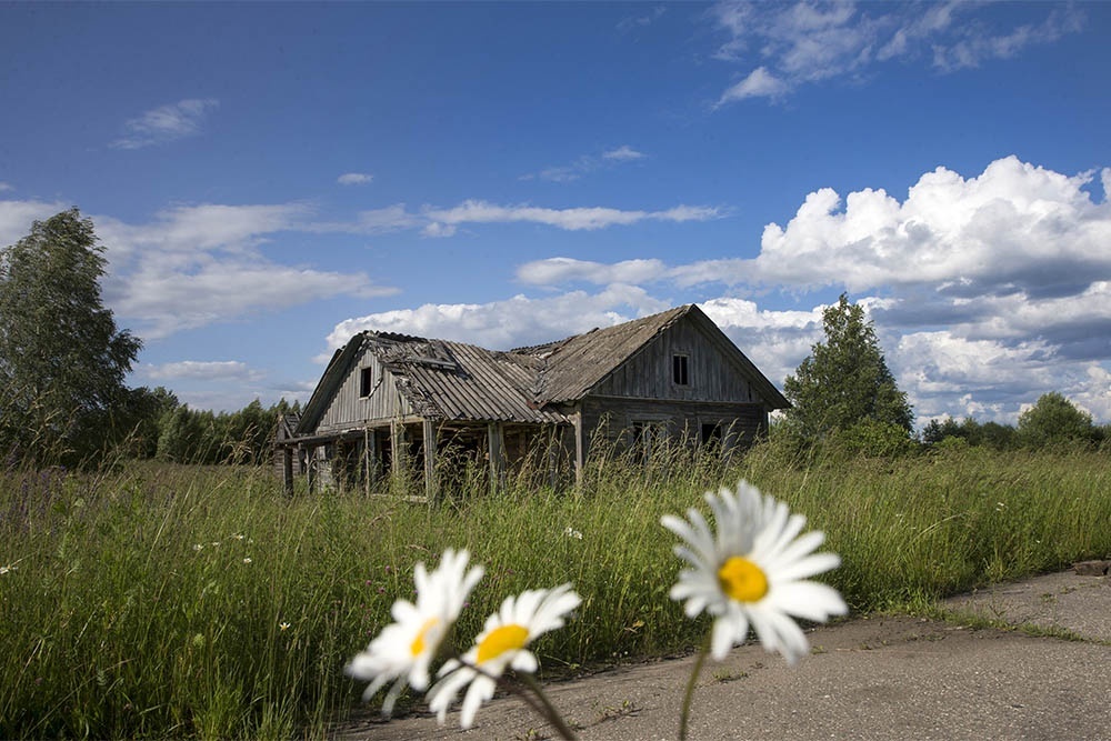    Выбитые стекла и провалившаяся крыша - повод признать дом с участком заброшенными. / Сергей Михеев
