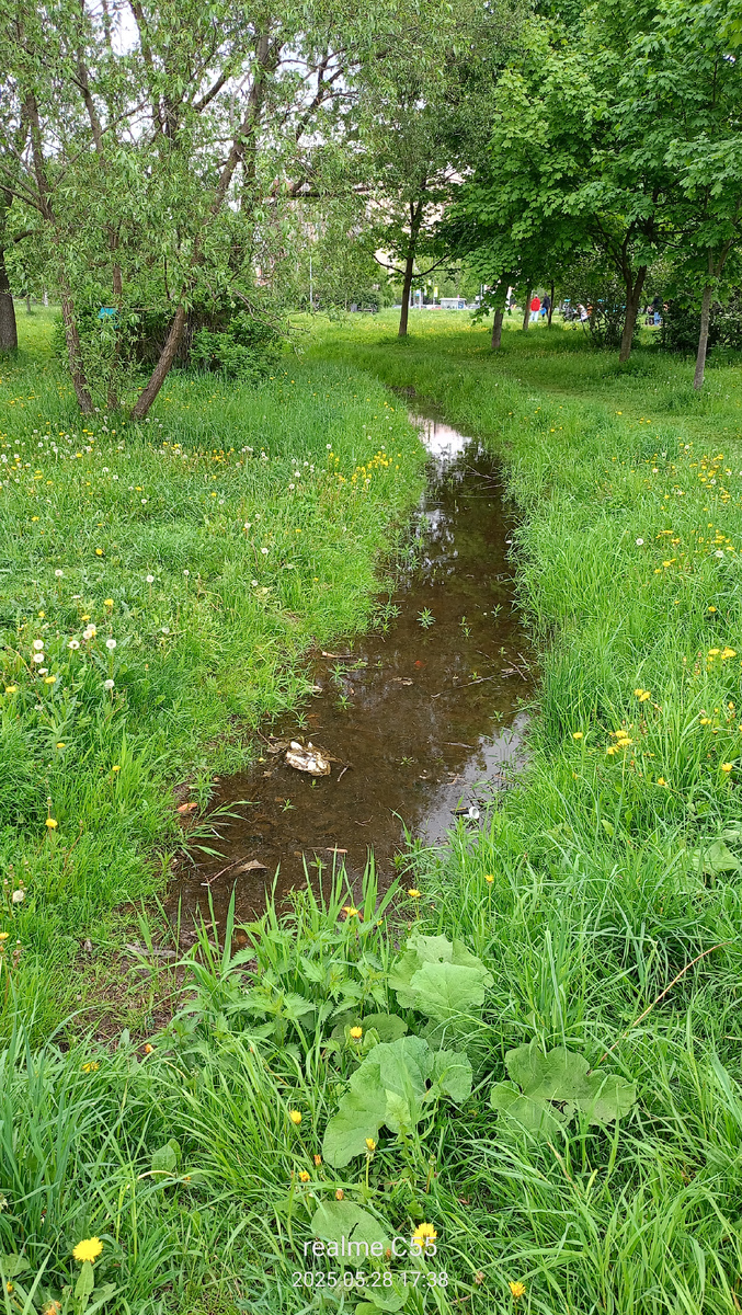 Почти речка😄