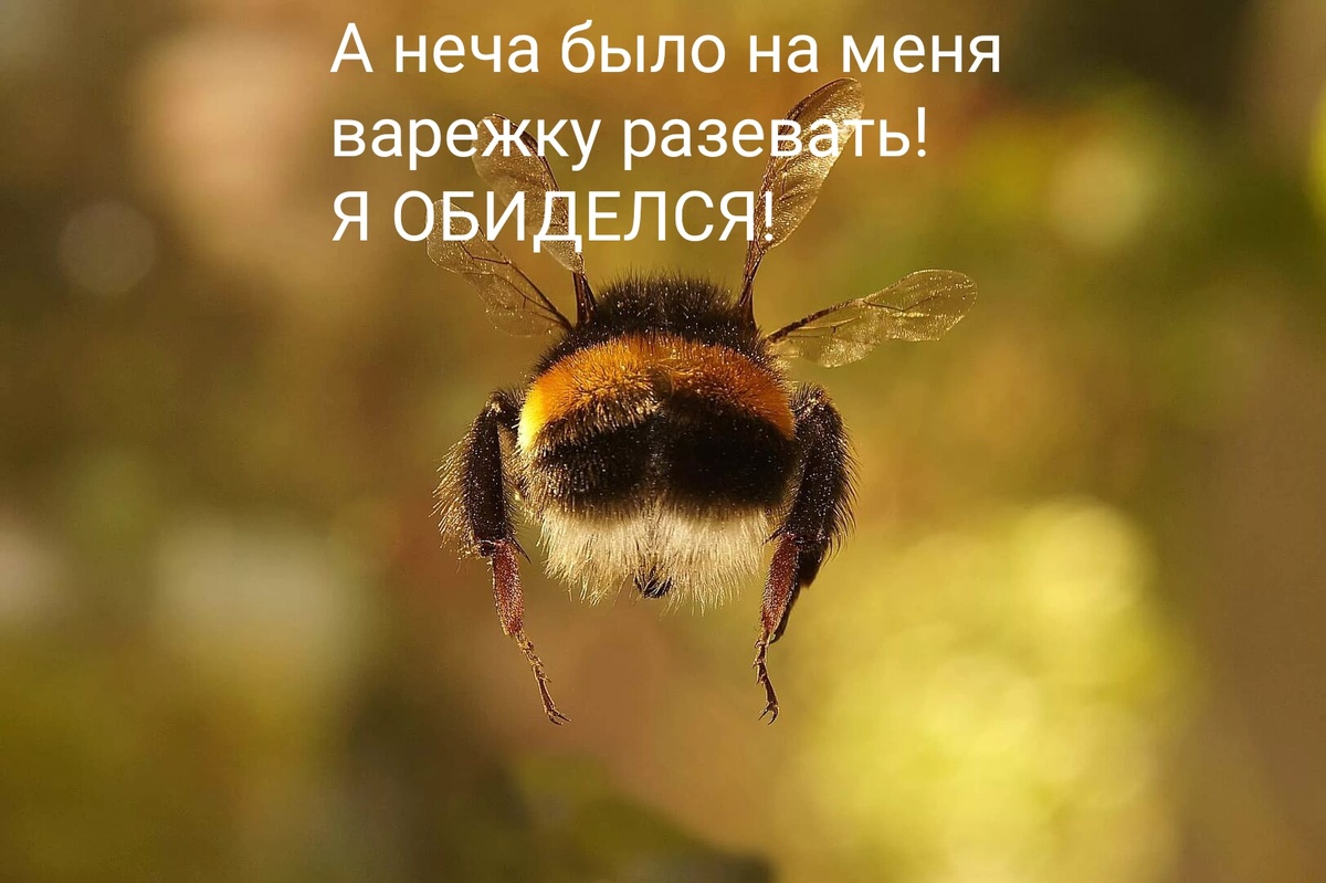 Фото из интернета в обработке автора. 