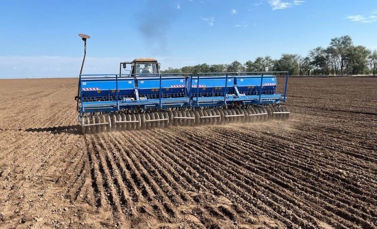    По итогам ярового сева 2025 ставропольские аграрии посеяли больше нута, сахарной свеклы и картошки