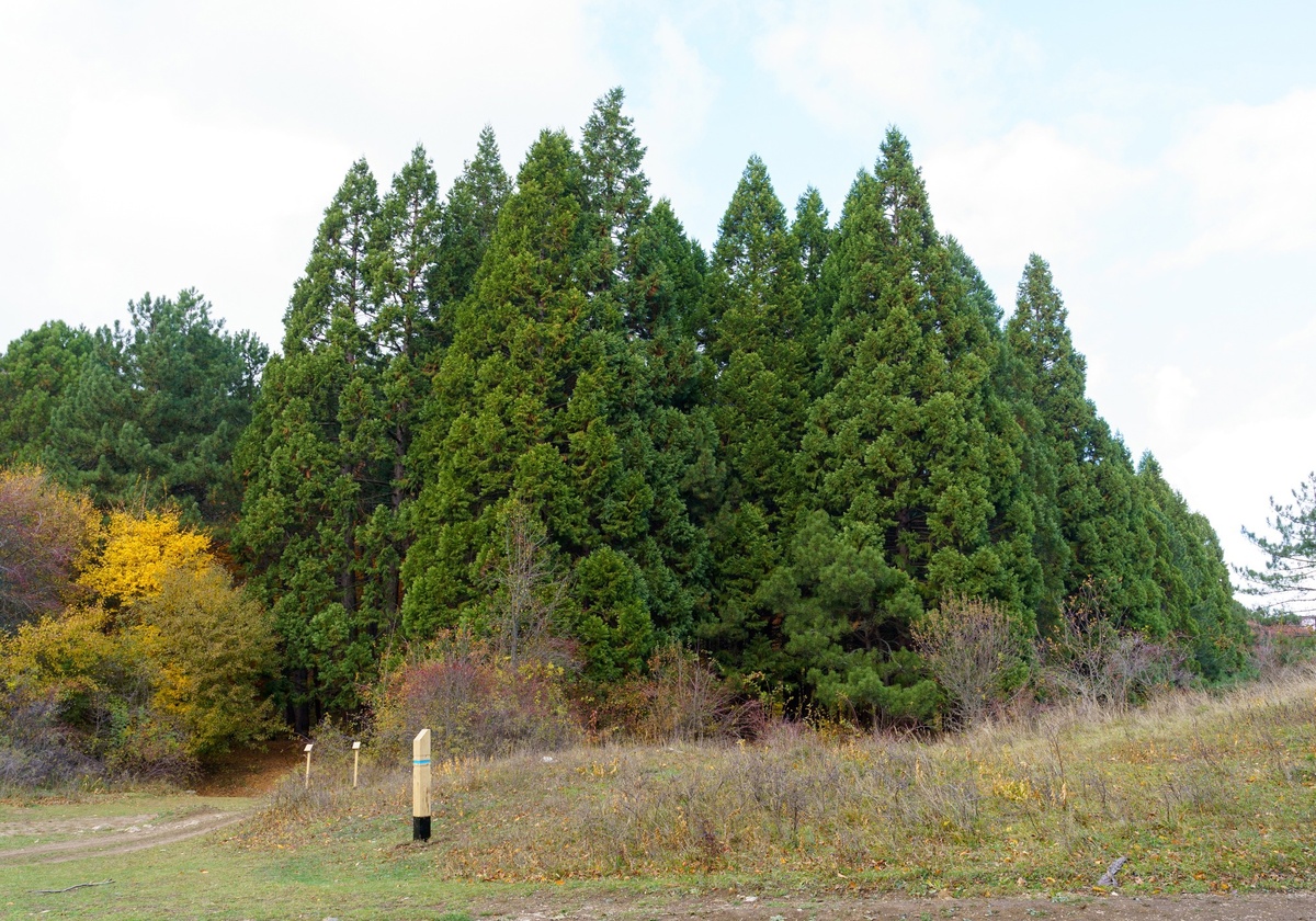 Фото: Михаил Мельник 