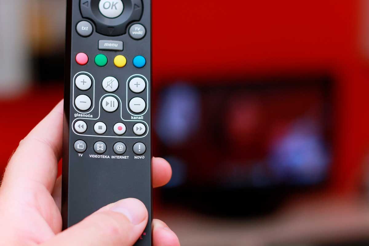    Фото: Ivan Milankovic / Shutterstock.com