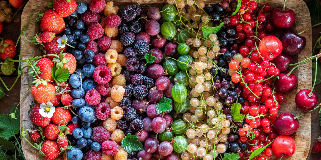 Летние садовые и лесные ягоды. Получаем максимум пользы и вкуса!