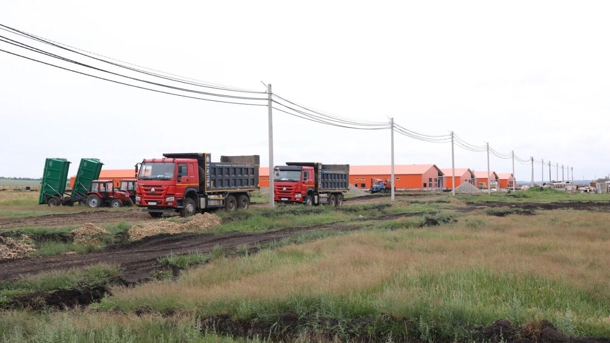     Источник: dumask.ru