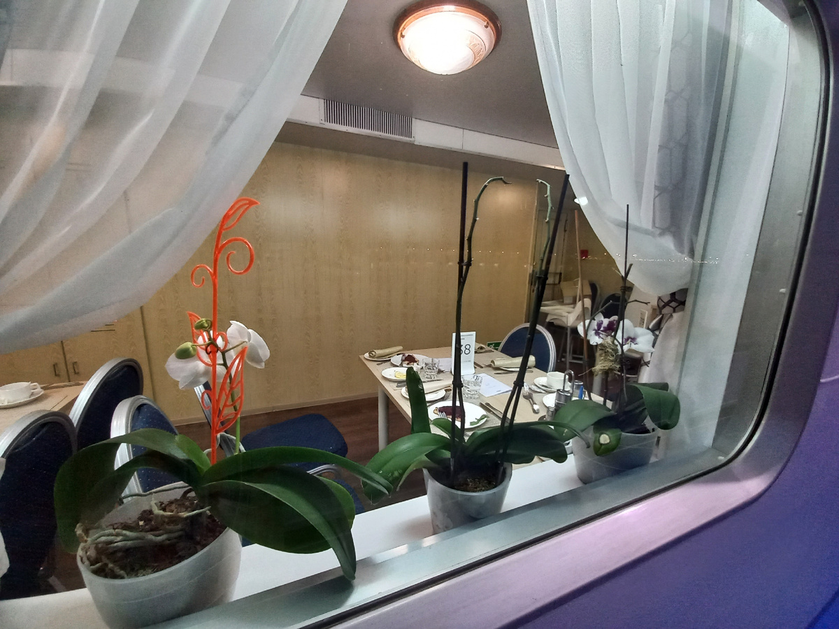 Фото автора статьи.