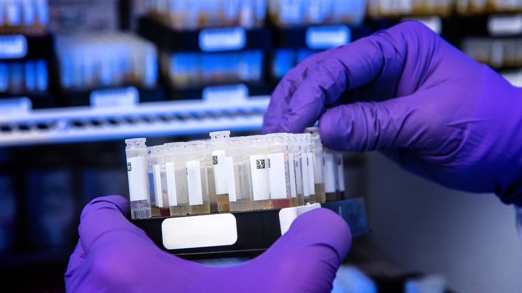    Фото © Unsplash.com