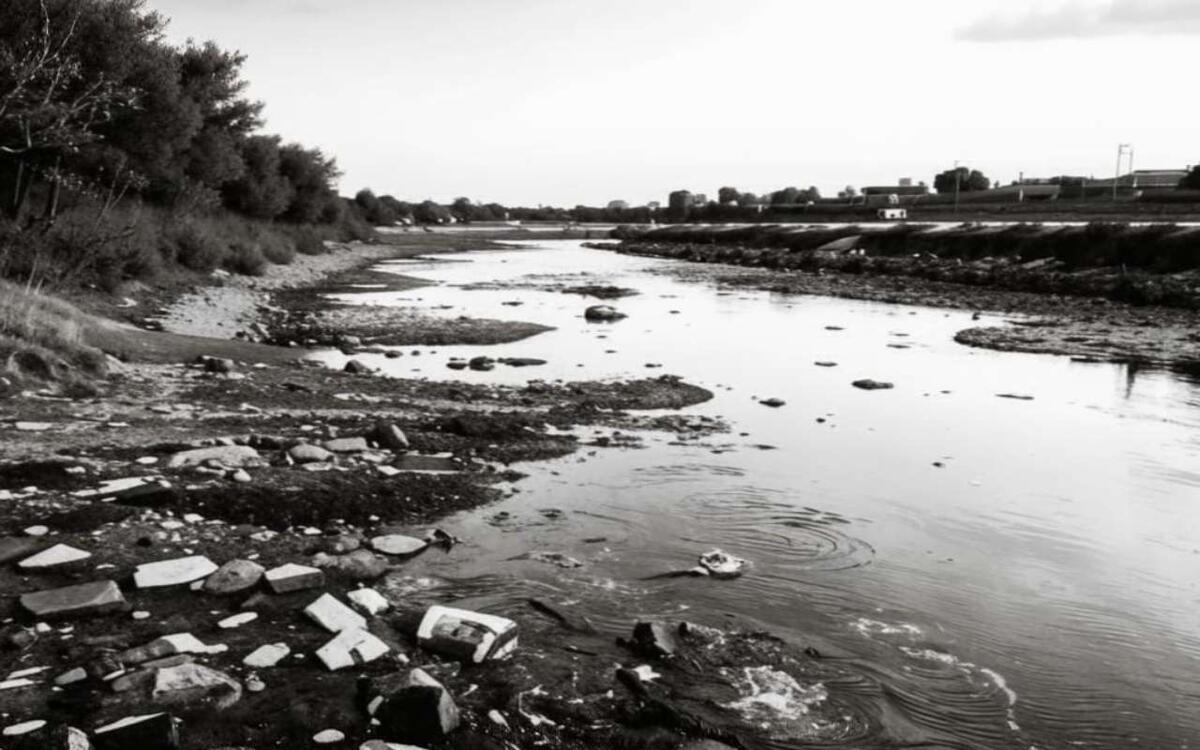    Суд обязал «Белводоканал» выплатить 3 млн рублей за загрязнение реки Иллюстрация: нейросеть «Кандинский»