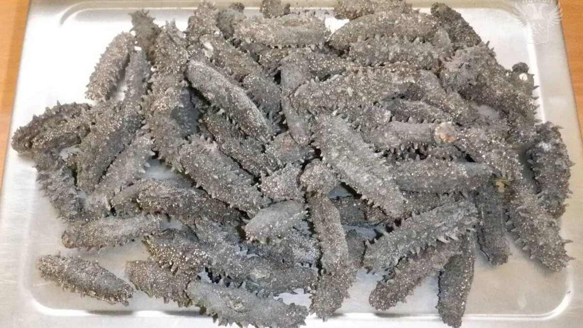     Источник: customs_rf