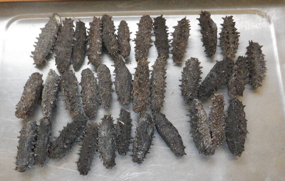     Источник: customs_rf