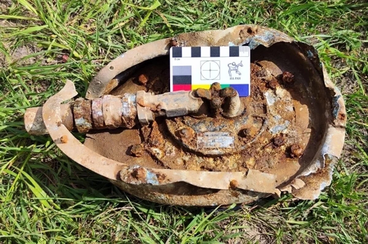    В Тверской области нашли останки бойца и деталь топливного бака