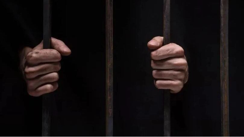    Фото: BlueSkyImage/Shutterstock/Fotodom