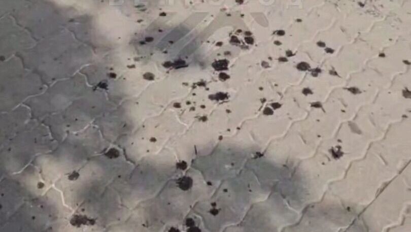     Источник: Telegram-канал «Жесть Белгород»